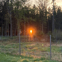 Leben / © Diözese Linz/Panjan