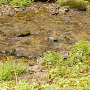 Meditative Pilgerwanderung