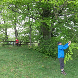 Pilgern Schlierbach-Klaus