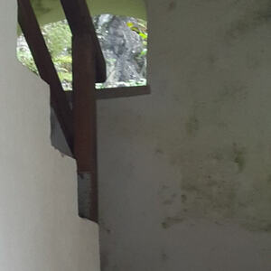 25 Pilgerinnen und Pilger aus dem Dekanat Eferding nahmen an der Wallfahrt teil