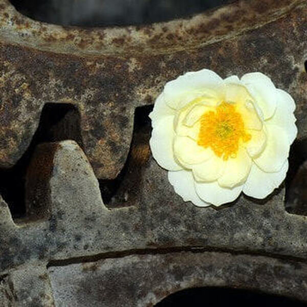 Zusammenarbeit mit anderen Institutionen