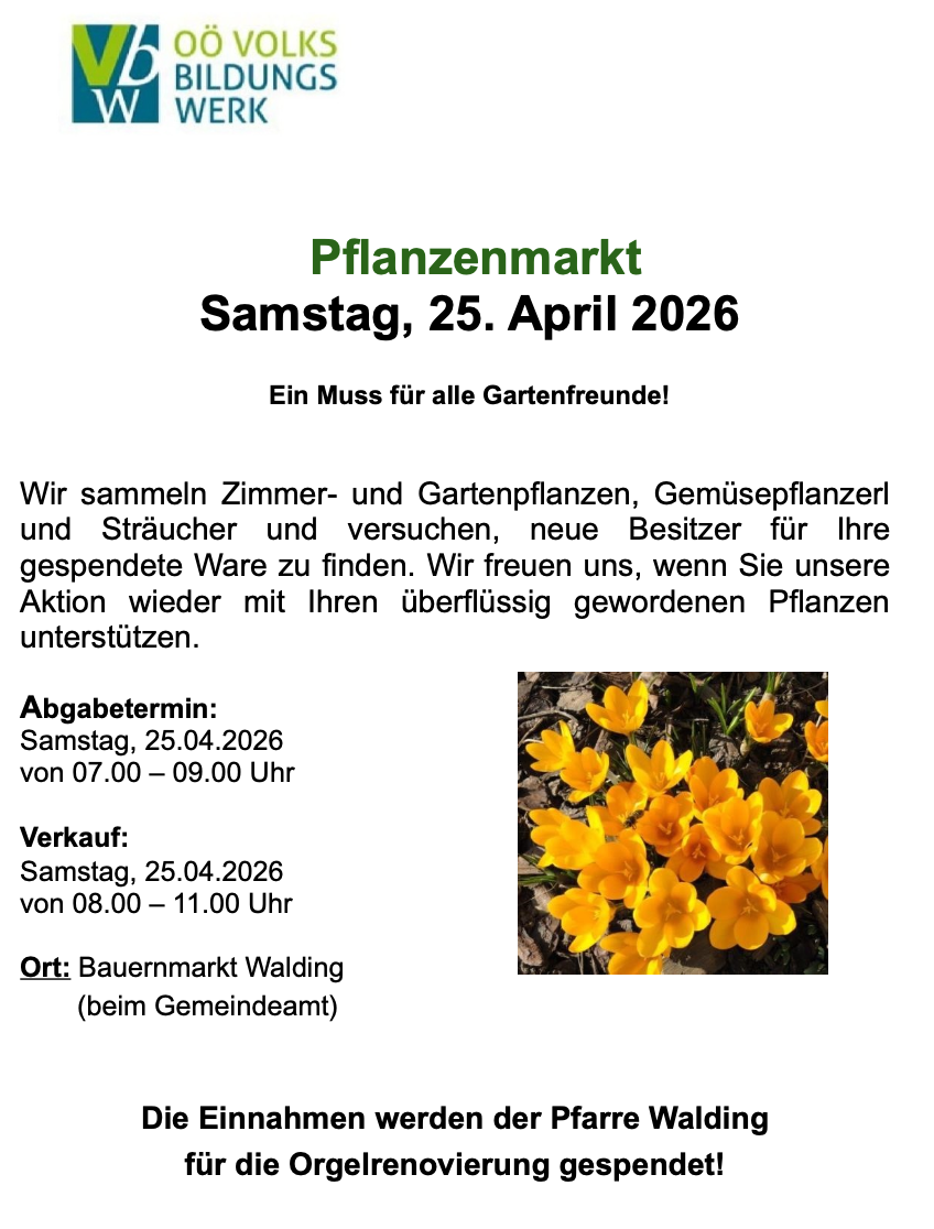 Flyer Pflanzenmarkt