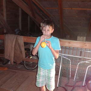 Jungschar- und Ministrantenlager in Roßleiten