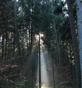 Adventwanderung der KMB