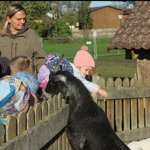Besuch der 'Binderalm'