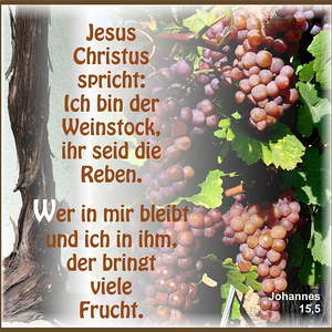 Textbilder für den Jahreskreis der Kirche