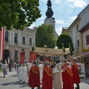 Fronleichnam der Stadtpfarrkirche Kirchdorf/Krems mit Pater Severin Kranabitl vom Zisterzienserstift Schlierbach. Foto: Jack Haijes