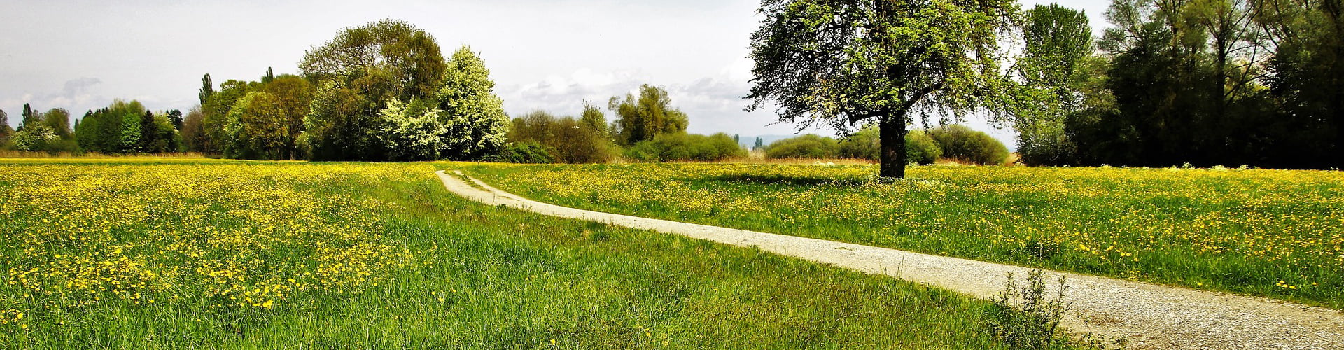 Wege gehen im Frühling