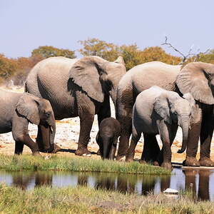 Reise nach Namibia und Botswana