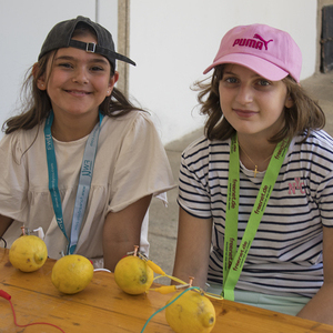 Minis in St. Florian