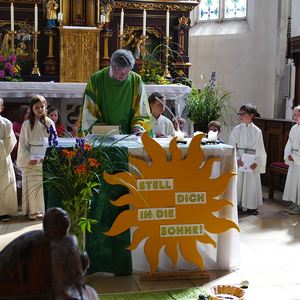 Unsere neuen Minis, Juli 2022