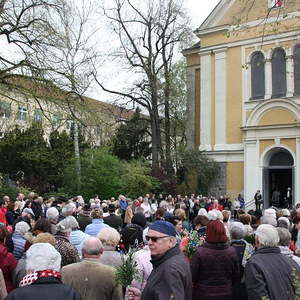 Palmsonntag in St. Quirinus