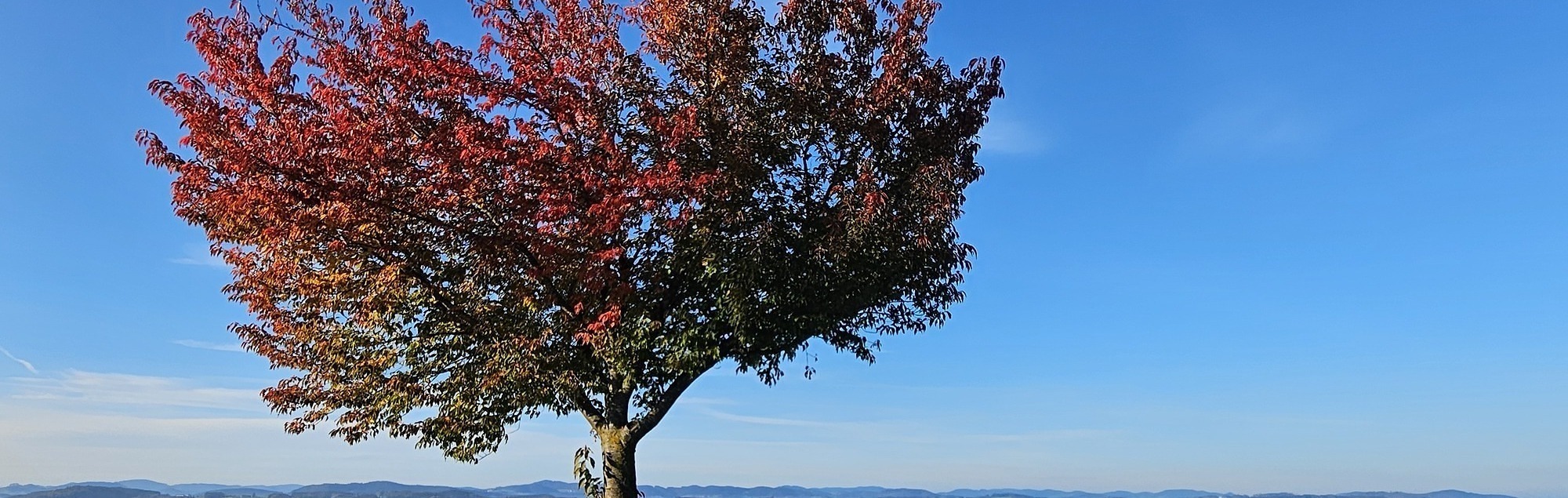 Herbststimmung in Allerheiligen