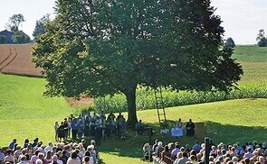 Frankenburg: Ein ganzer Ort im Würfelspielfieber