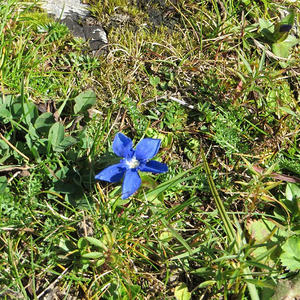 Bergmesse-Vorbereitung