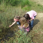 Kindergarten-Schulanfänger