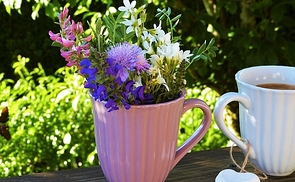 Kleine Glücksmomente