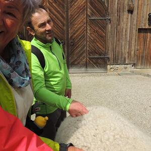 Pilgerwanderung 2022