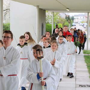 Palmkätzchen trifft Mandala