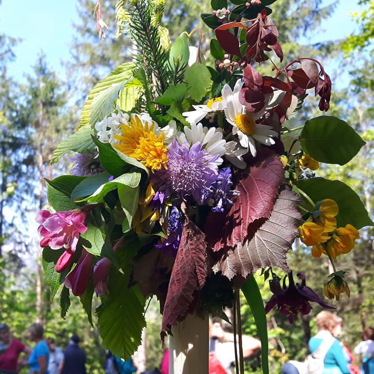 Frauenpilgerbuschen / kfb OÖ Frauenpilgerbuschen