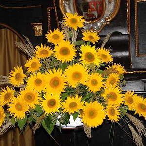 Erntedankfest Kirche Maria Schauersberg 2014