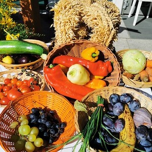 Erntedank ist Lebensdank!