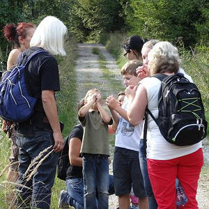 Naturerlebnisweg Pfarrwald Vöcklabruck