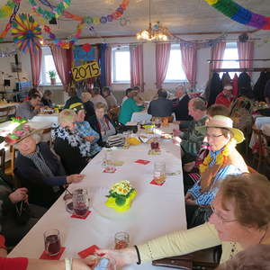 Seniorenfasching 2015