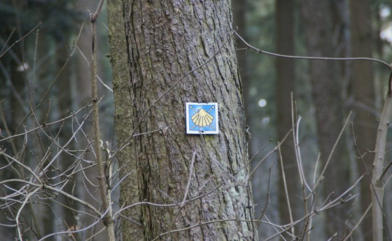 Auf dem Jakobsweg
