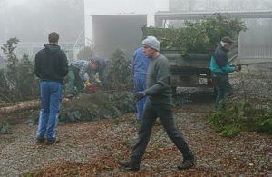 Grünanlage Friedhof