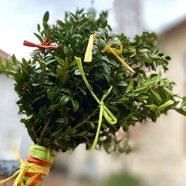 In: Pfarrbriefservice.de