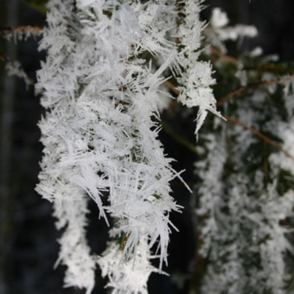 Pfarreisstockturnier