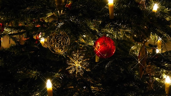 Weihnachtsbaum am Christabend...