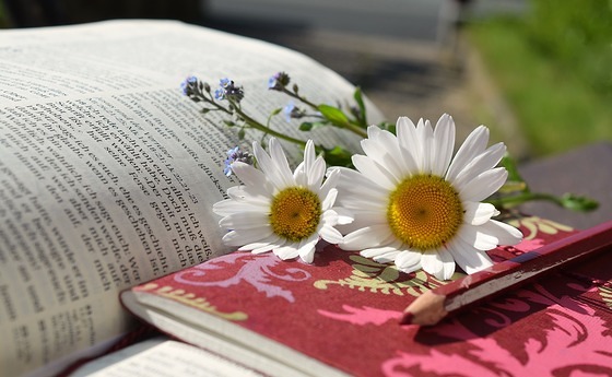 Margariten Bibel Buch