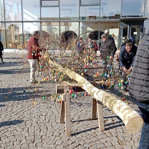 Osterbaumaufstellen