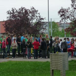 Firmung und Firmvorbereitung 2010