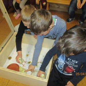 Projekt im März und April 2019