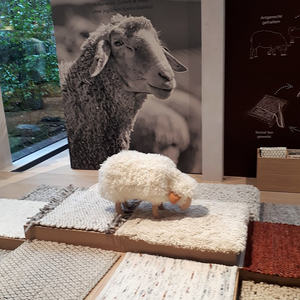 Pfarrausflug Pettenbach