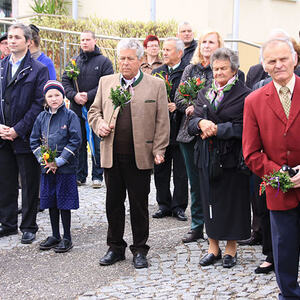 Palmweihe & Festzug