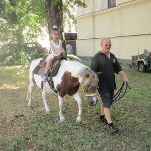 Sonntag, 30. Juni 2019