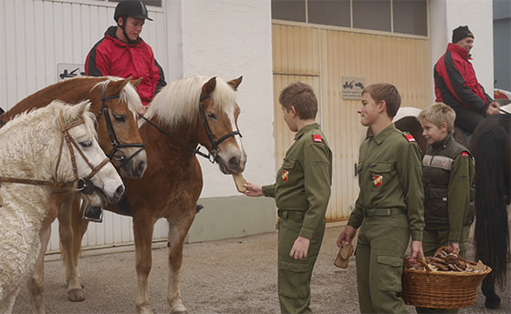 Leonhardiritt in Eidenberg © Haas