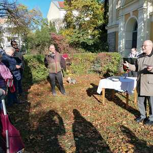 Segnung des Baumes vor der Quirinuskirche