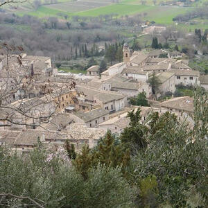 Pilgerfahrt nach Assisi vom 17. - 21. Februar 2014