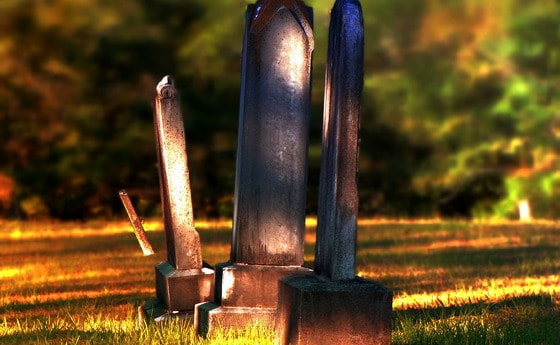 Grab / © PublicDomainPictures / pixabay.com / CC0 1.0 Grab