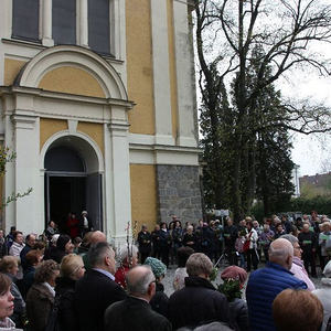 Palmsonntag in St. Quirinus