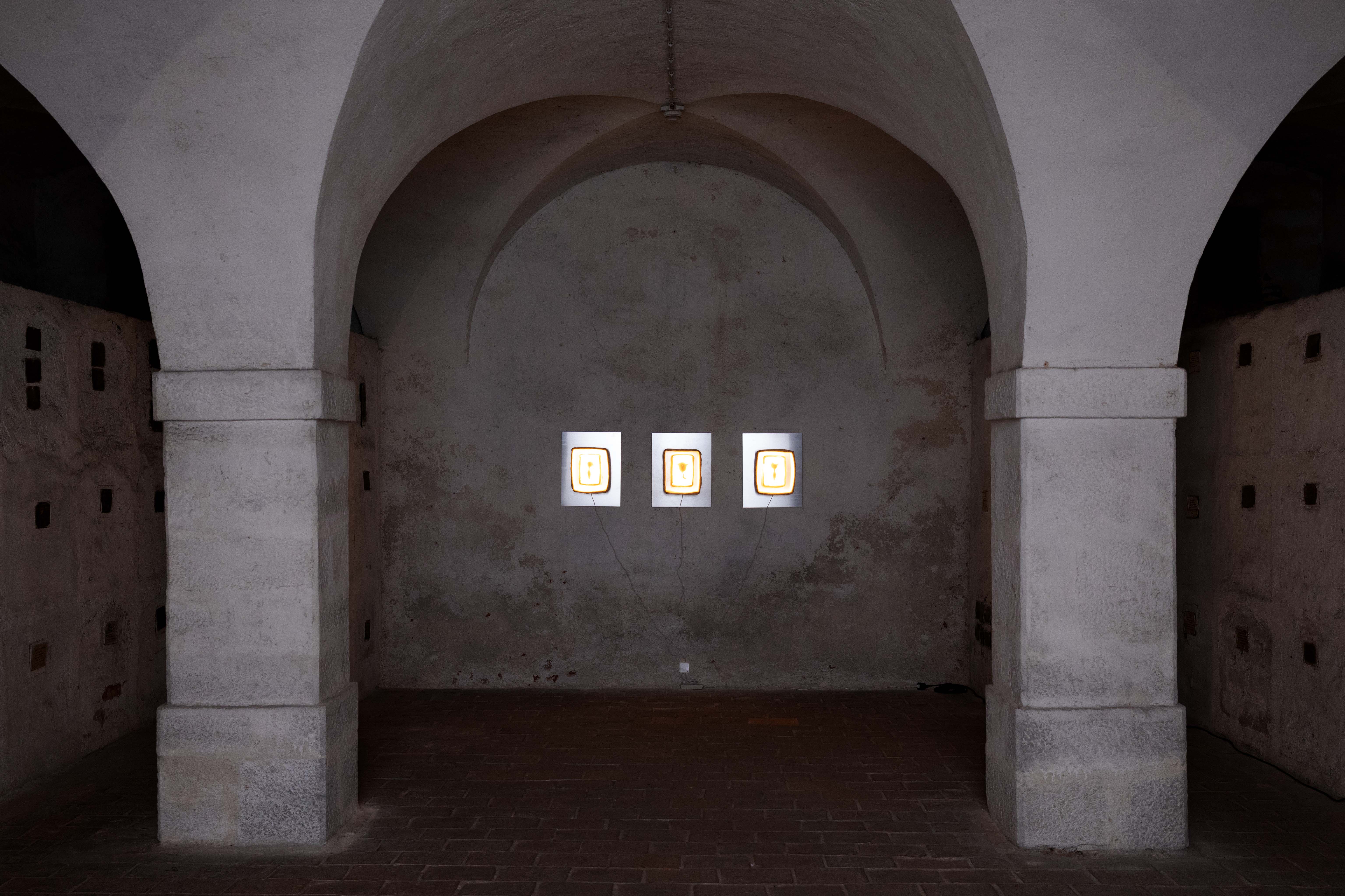 Daniela Trinkl: In Between