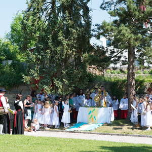 Fronleichnam 2015, Pfarre Neumarkt im Mühlkreis