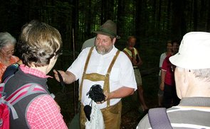 Waldführung beim Taferl Klaussee und Urzn