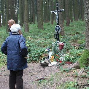 Pfarr-Wallfahrt Maria Trost