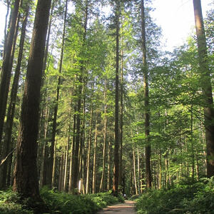 'Rund um den Wachtberg'